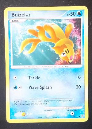 Buizel, graded 7.5