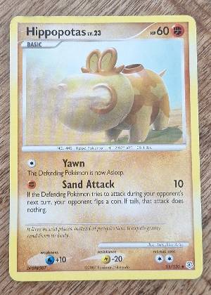 Hippopotas, graded 7.5