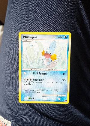 Mudkip, graded 7.0