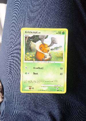 Kricketot, graded 7.5