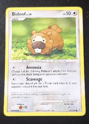 Bidoof, graded 7.5