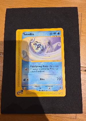 Totodile, graded 8.5