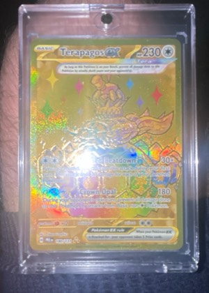Terapagos ex - 180/131 graded 8