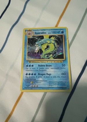 Gyarados graded 6 & below