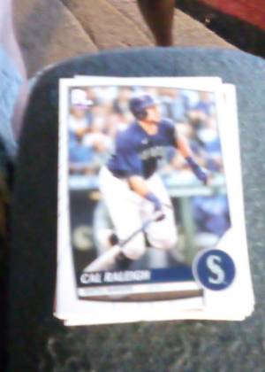 Cal Raleigh, graded 7.5