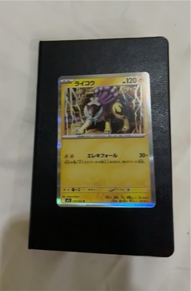 Raikou V, graded 10.0