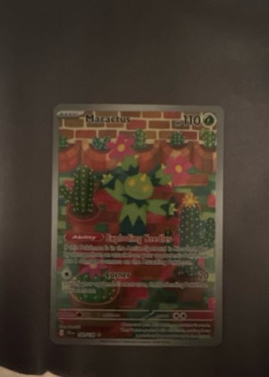 Maractus, graded 7.5