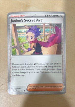Janine's Secret Art, graded 10.0