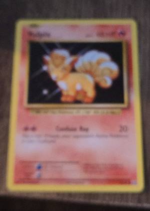 Arcanine, graded 8.0