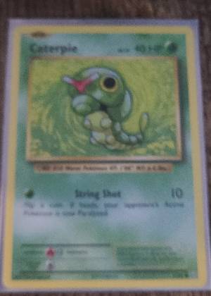Caterpie, graded 8.0