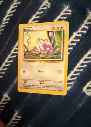 Rattata, graded 7.0