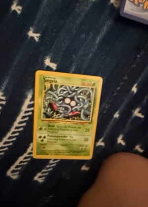 Tauros, graded 5.0