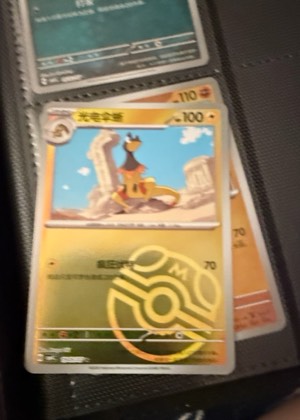 Kangaskhan, graded 7.5