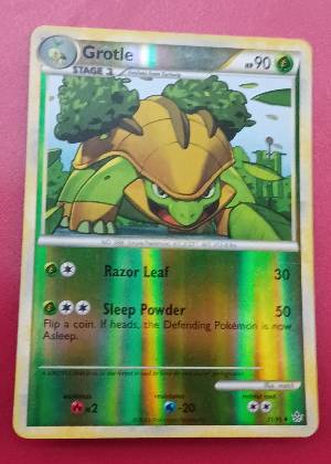Grotle, graded 7.0