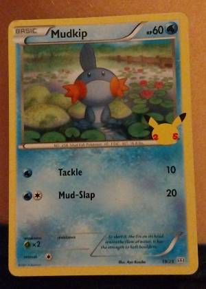 Mudkip, graded 8.5