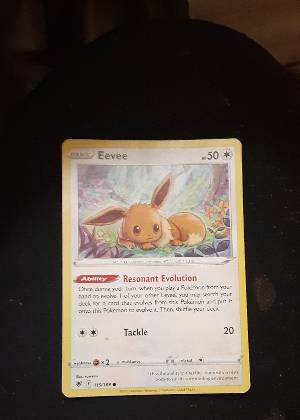 Eevee graded 8.5