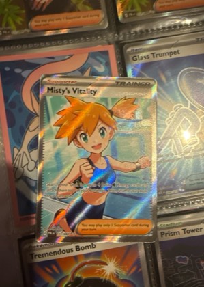 Misty's Vitality, graded 9.0