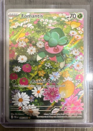 Fomantis, graded 9.5