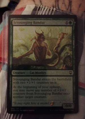 Scrounging Bandar, graded 9.0