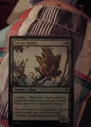 Canopy Baloth, graded 9.0