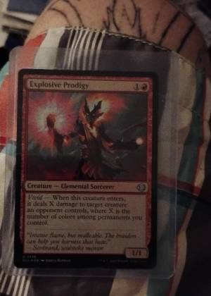 Explosive Prodigy, graded 9.0