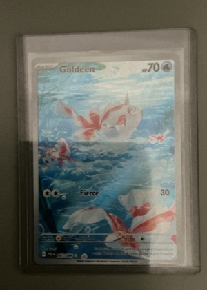 Goldeen graded 8