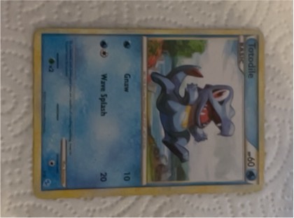 Totodile, graded 7.0