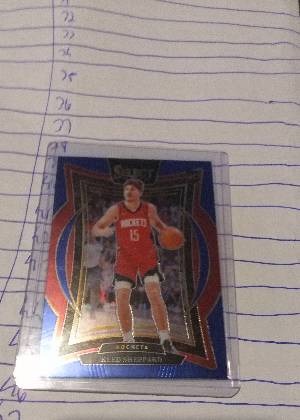 Reed Sheppard, graded 9.0