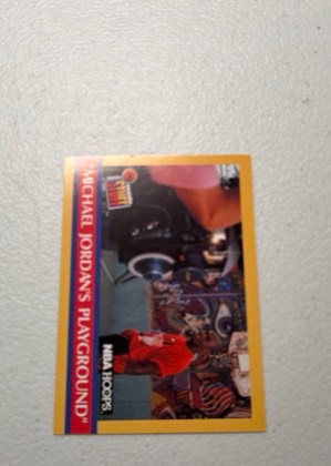 Michael Jordan's Playground, graded 8.0