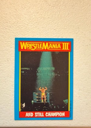 Hulk Hogan, graded 8.0