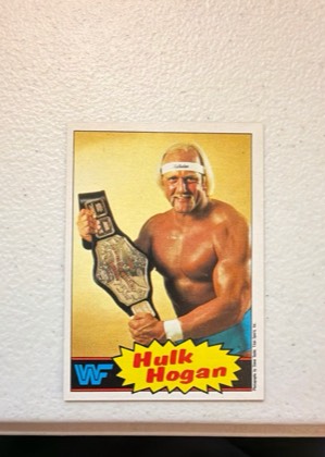 Hulk Hogan, graded 8.0