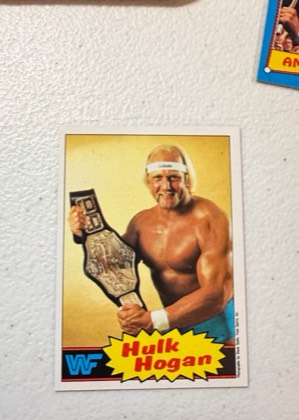 Hulk Hogan, graded 9.0