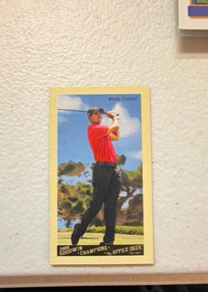 Tiger Woods, graded 9.0