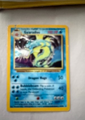 Gyarados, graded 4.5