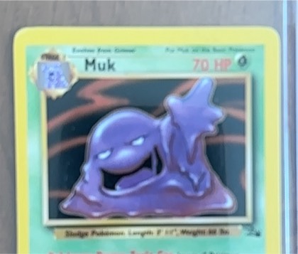 Muk (13) graded 8.5