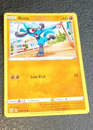 Riolu, graded 9.5