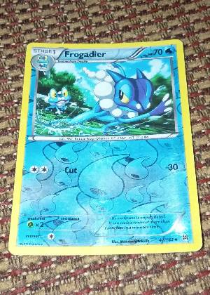 Frogadier, graded 9.0