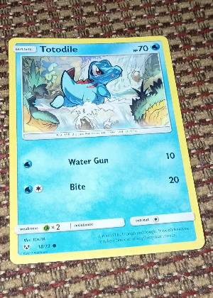 Totodile, graded 9.0