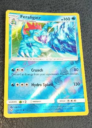 Feraligatr, graded 9.0
