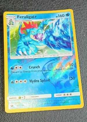 Feraligatr, graded 9.0