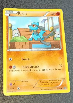 Riolu, graded 8.5
