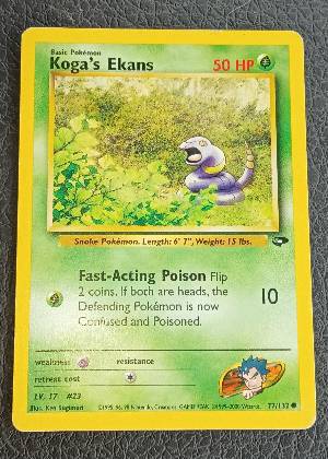 Koga's Ekans, graded 8.5