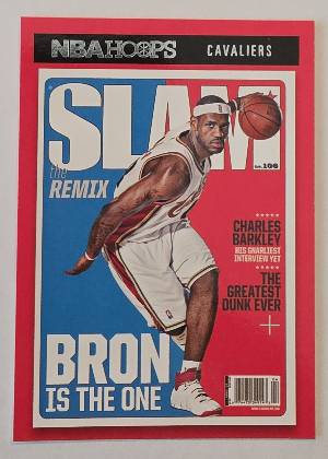 LeBron James, graded 9.5