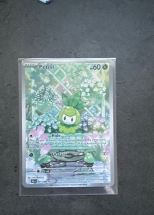 Petilil, graded 8.5