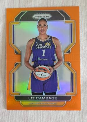 Liz Cambage, graded 9.0