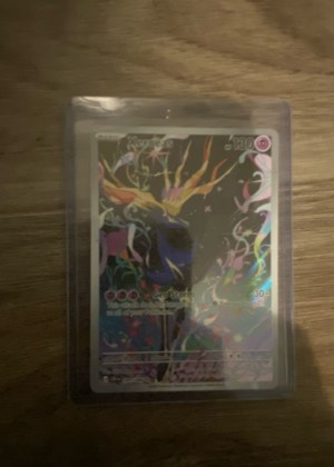 Claw Fossil Anorith, graded 7.5