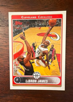 LeBron James, graded 9.5