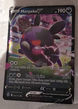 Morpeko V, graded 8.0