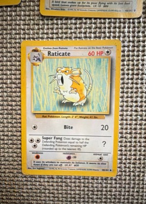 Raticate graded 8