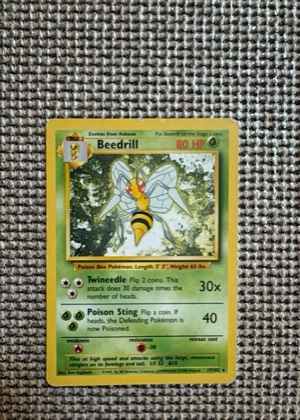 Beedrill graded 8